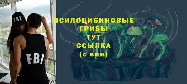 шишки Алзамай