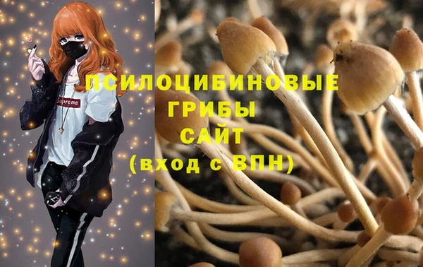 ALPHA PVP Алексеевка