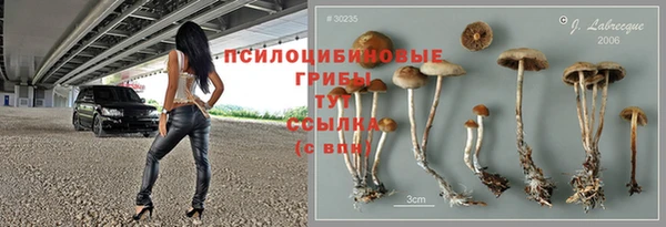 шишки Алзамай