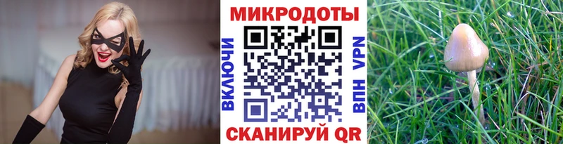 это наркотические препараты  Кирсанов  Галлюциногенные грибы Psilocybe  где найти  